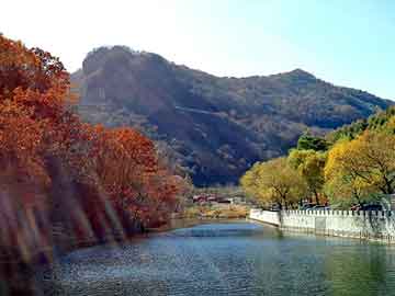 新澳天天开奖资料大全旅游团，袁大头值多少钱